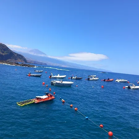 Mesas Del Mar. Suenos * タコロンテ