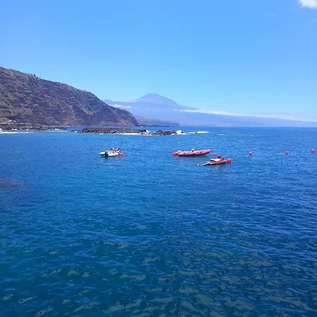 Mesas Del Mar. Suenos * タコロンテ